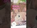 #beautiful #dollartree #faith #jesus #bunny #diy #youtubeshorts #love #shorts #lord