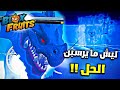 بلوكس فروت حل مشكلة رسبون الهيدرا بعد التحديث كيف ترسبن الهيدرا بسهولة Blox Fruit 