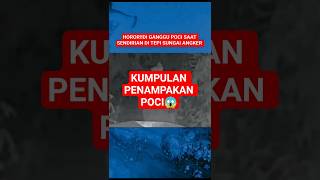 KUMPULAN POCI #shorts #short #shorthorror #shortsviral #horror #trending #viralshorts #viral