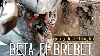 beat fi semua terlihat normal tapi brebet