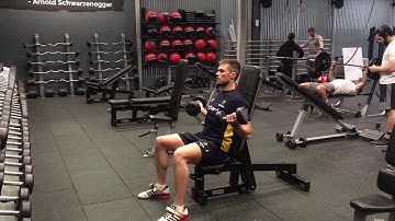 Seated Dumbbell Bicep Curl (Supinated Grip)