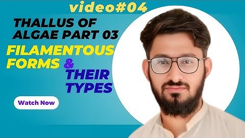 Filamentous Algae: Structure, Classification & Key Features with example.