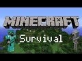 Minecraft survival w tokenator the awesome journey begins 1