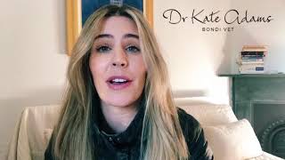 Why does my dog or cat eat grass?! by Dr Kate Adams 300 views 5 years ago 1 minute, 25 seconds