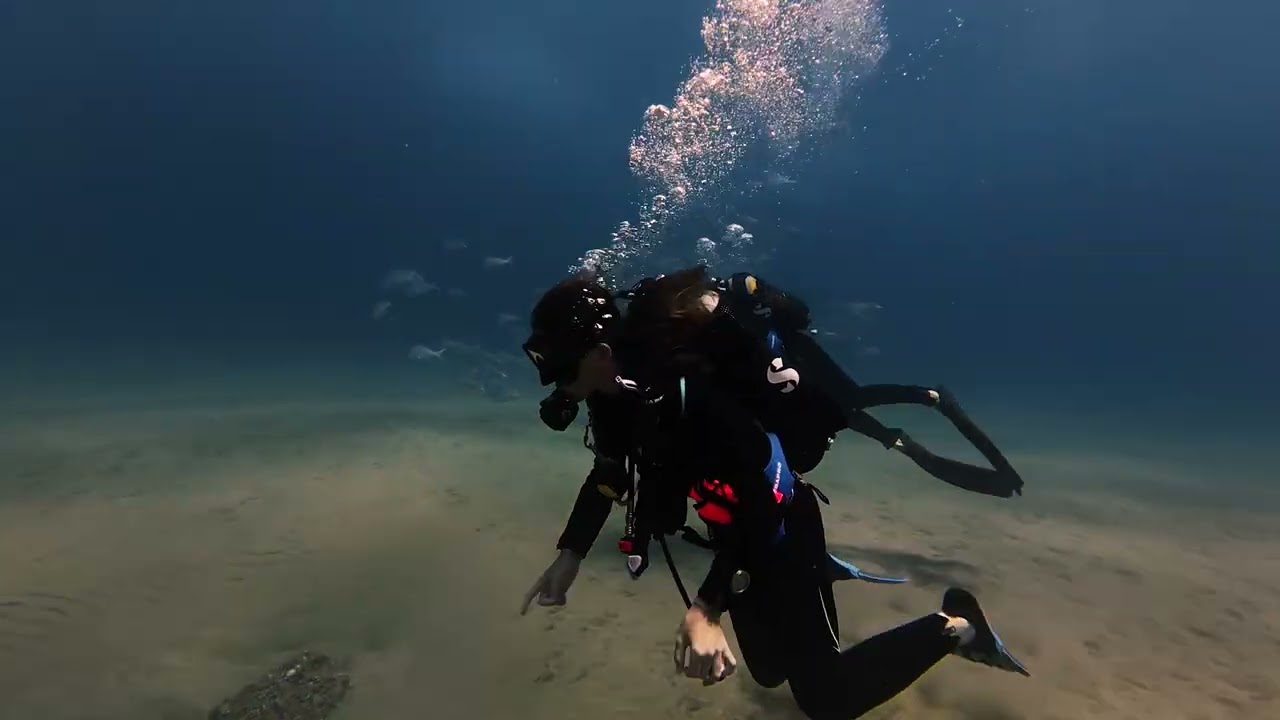 Sodwana Diving Feb 2026