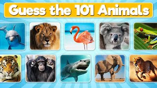 Guess the Animal Quiz | 101 Animals Quiz screenshot 5