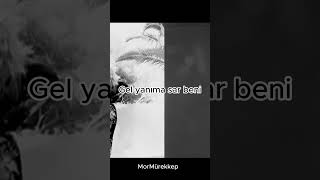 Mfö - Yaşın 19 Resimi