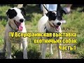 V Всеукраинская выставка охотничьих собак | Часть 1