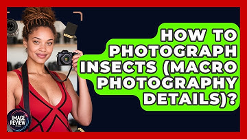 How To Photograph Insects (macro Photography Details)? - Image Review Studio
