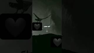 لا تخزن ان الله معك ❤️?❤️?❤️?♥️♥️♥️????