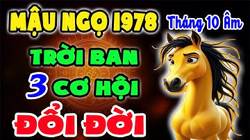 Không Xem Là Hối Hận: Mậu Ngọ 1978 Đúng Tháng 10 ÂL Có 3 Cơ Hội Đổi Đời Mà Chỉ Ai Đủ Căn Mới Thấy