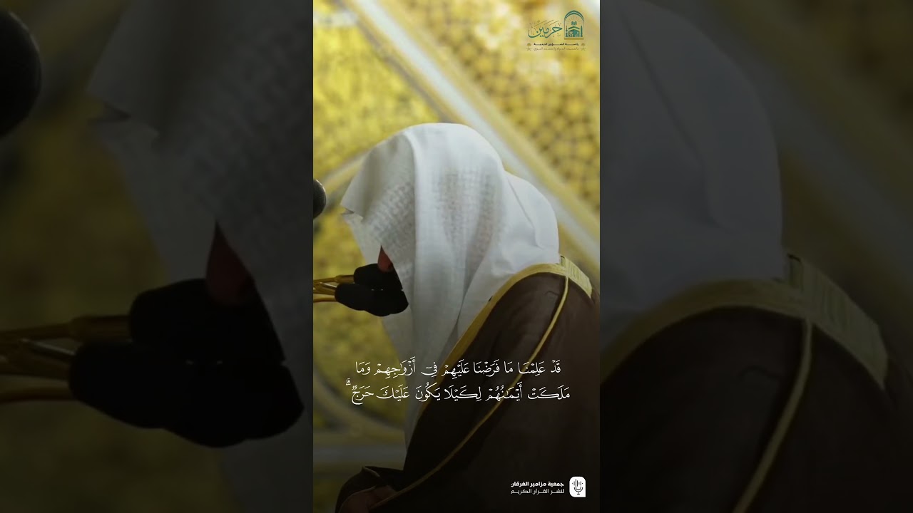 تلاوة فضيلة الشيخ د. #عبدالمحسن_القاسم من صلاة الفجر الخميس ١٦ ذو الحجة ١٤٤٦ هـ