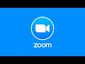 Как работать с приложением для видеоконференций Zoom