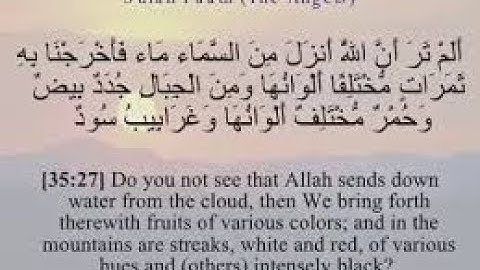 2/ نهاية سورة  فاطر أَلَمْ تَرَ أَنَّ اللَّهَ أَنزَلَ مِنَ السَّمَاءِ مَاءً   من 27 إلى 45