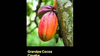 Video thumbnail of "GRANDPA COCOA [SOCA 2012]- COYABA"