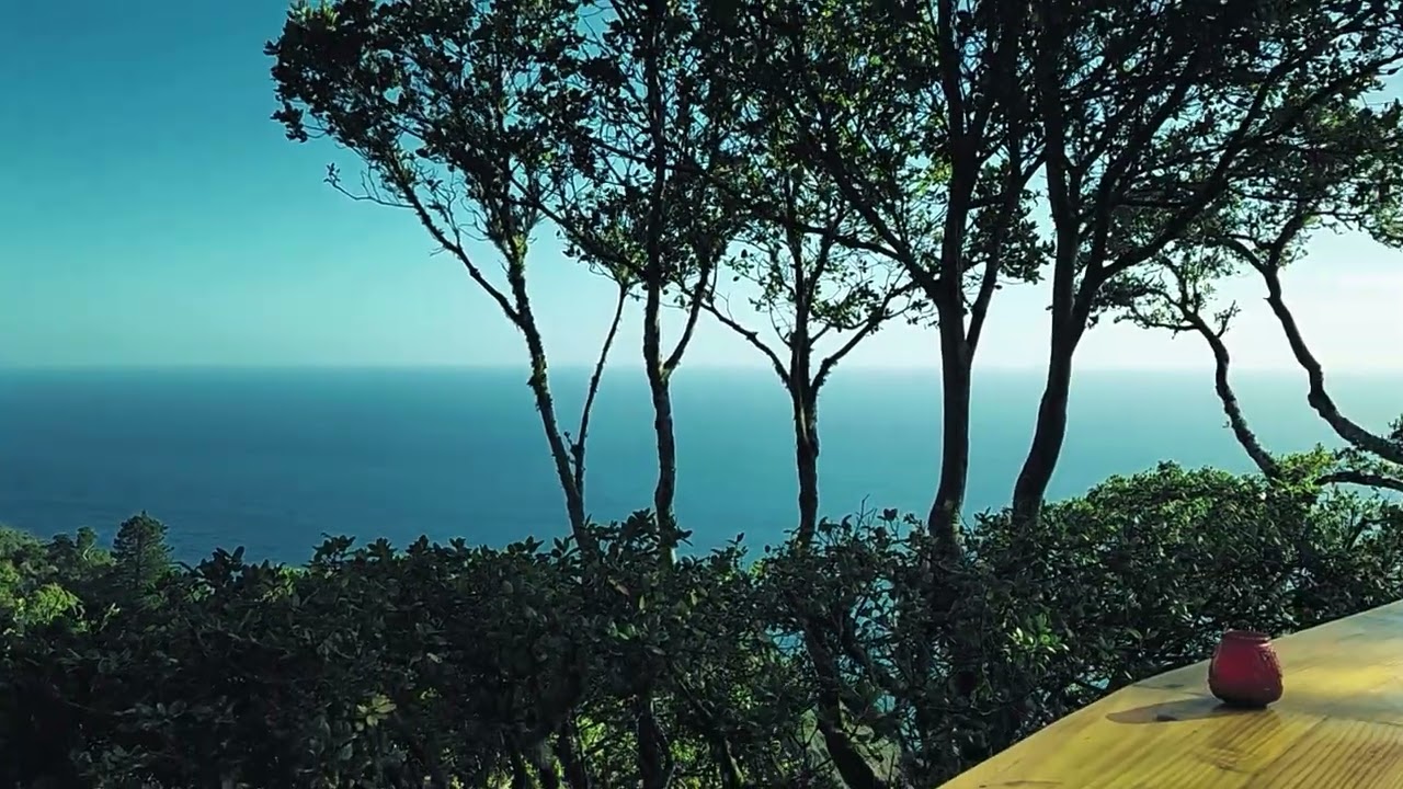 Views from Nepenthe Restaurant in Big Sur, California - Oct. 2025.  800 feet above the Pacific.