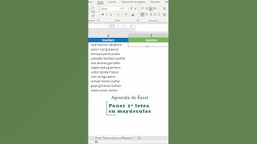 Poner primera letra en Mayúsculas. Tips Excel