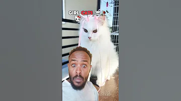 Arabic Kadiyedaily Artist 311 2027 2048 2025 Funny Somalivoice 2024 