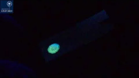 MMC Lab "OX-1" Photonic Sensor