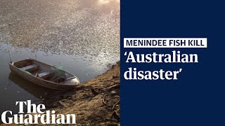 Menindee reacts to latest fish kills: 'An Australian disaster like bushfire and floods'