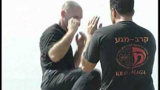 Aprender Krav Maga - Patadas