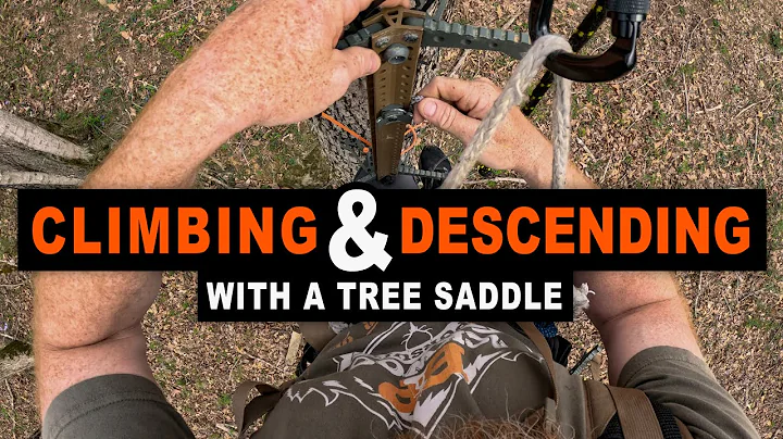 How To Climb With A Tree Saddle - Climbing and Descending Tips