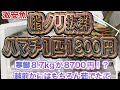 『天然寒ハマチが1本1800円、寒鰤はkgが値段！？』令和6年12月5日の激安魚屋@福井県敦賀市相木魚問屋