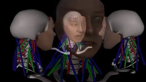 Head Up! SIGGRAPH06 Fast Forward Video