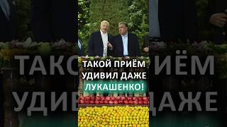 ⚡️РЕКИ из фруктов в резиденции Рахмона! // Лукашенко на неформальном ужине на саммите ШОС! #shorts