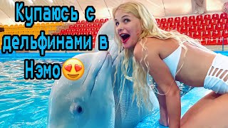 Купаюсь и смотрю выступление ДЕЛЬФИНОВ🤤🐬