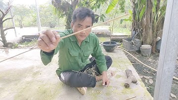 hướng dẫn cách làm cần câu cấm cá lóc đồng mồi nhái thật để đạt hiệu quả cao !