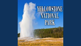 Churn Geyser Slow Heavy Gooey Bubbling