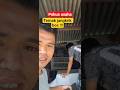 usaha jangkrik #jangkrik #ternakburung #ternakjangkrikpemula #jalakbali