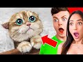 HARDEST Try Not To Say AWW Challenge EVER! (CUTE)