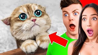 Hardest Try Not To Say Aww Challenge Ever! (Cute)