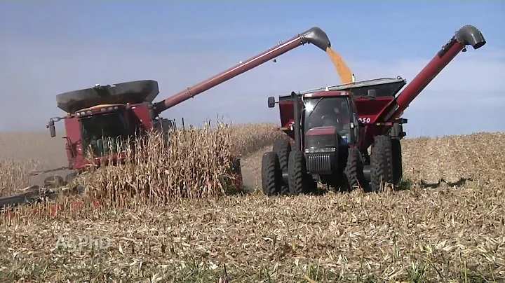 Farm Basics #931 - What is a GMO? (Air Date 2/7/16)