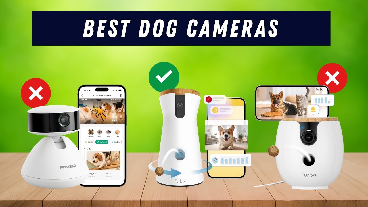 Best dog cameras: Dog cameras (Buying Guide) - YouTube