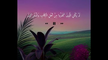 سورة البينة تلاوة يأنس لها القلب💗بصوت اسلام صبحي🍃.