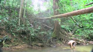 ed stafford fischfang mit kotfalle