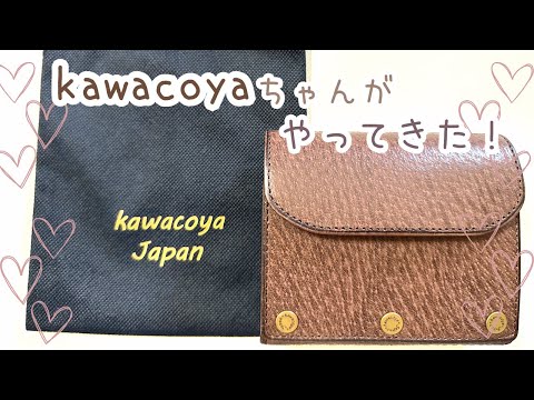 開封動画】憧れのkawacoyaちゃんがすごかった！|M5システム手帳|声あり