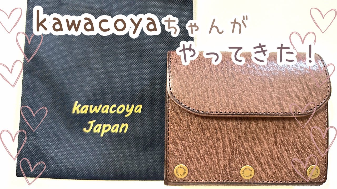 【開封動画】憧れのkawacoyaちゃんがすごかった！|M5システム手帳|声あり