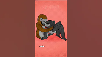 Remember The Good Times Animation Gorillatag Oculusquest2 Vr Monkey 