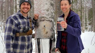 Tapping Birch Trees | Spring In Alaska
