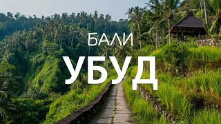 картинка: ПОЛНОЕ ПОГРУЖЕНИЕ В БАЛИ | Землетрясение, восхождение на вулкан и нападение обезьян