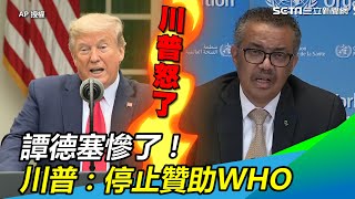 譚德塞慘了!川普:停止贊助WHO【94要客訴】