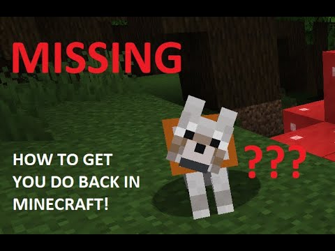 How To Get Your Minecraft Dog Back! - YouTube