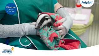 Petplan & ADCH Animal Charity Awards 2023 - Team of the Year Finalist - Secret World Wildlife Rescue by Petplan UK 28 views 3 months ago 1 minute, 44 seconds