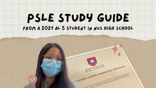 PSLE STUDY GUIDE !!! || HIGHLY REQUESTED || AL5 student now in nus high school || free spreadsheet