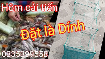 Dòng hôm cải tiến đặt là ăn chắt. cung cấp lua 12 cửa ngục lưới Thái lan. 0335399558