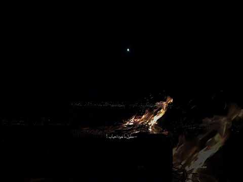 معقول انساك معقول معقول زينه عماد اغاني ستوريات حالات تصميم 